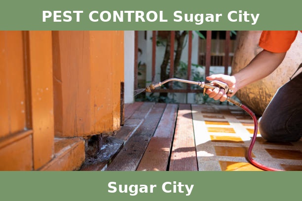 PEST CONTROL Sugar City